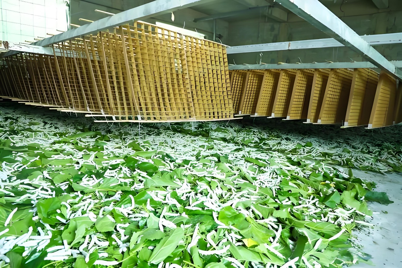 火眼金睛辨别蚕丝被真伪