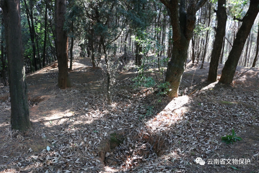 麒麟区横大路古墓群：滇东高原上的千年文明密码