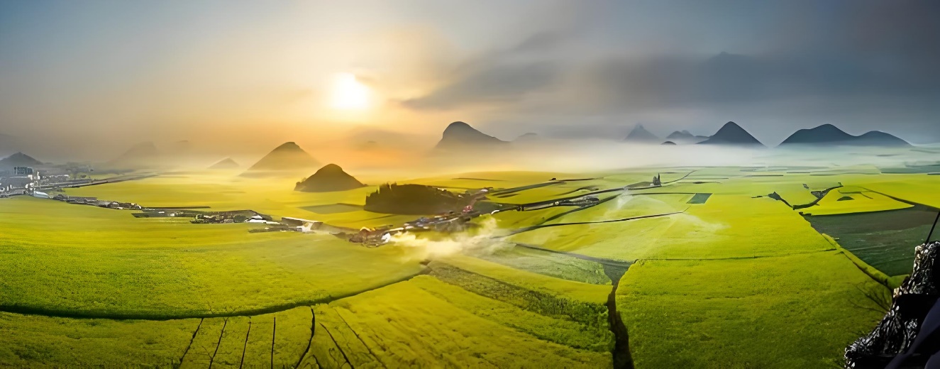 罗平油菜花海：“世界最大自然天成花园”的荣耀之路