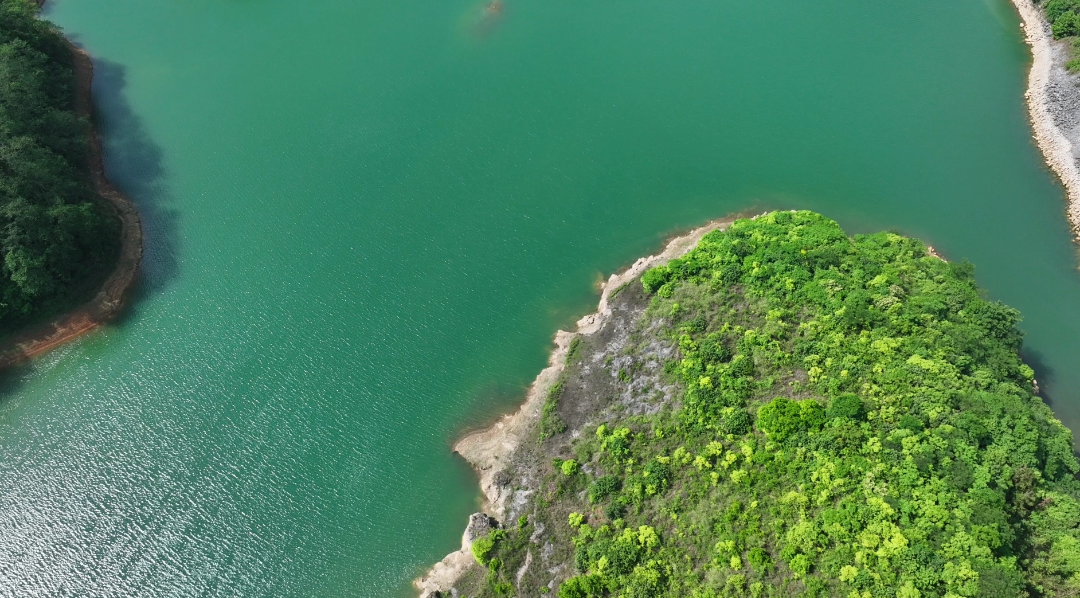 罗平湾子水库：高原水乡的生态史诗与人文华章