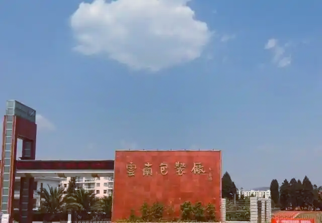 陆良芳华镇里的“包装往事”：一座国营厂的70年兴衰密码