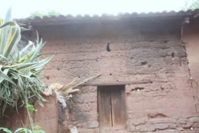 会泽尖山武装起义遗址:烽火尖山铸忠魂 红绿融合谱新篇