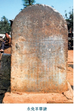 富源永免羊草碑：民国初年的民生碑刻与乡土记忆