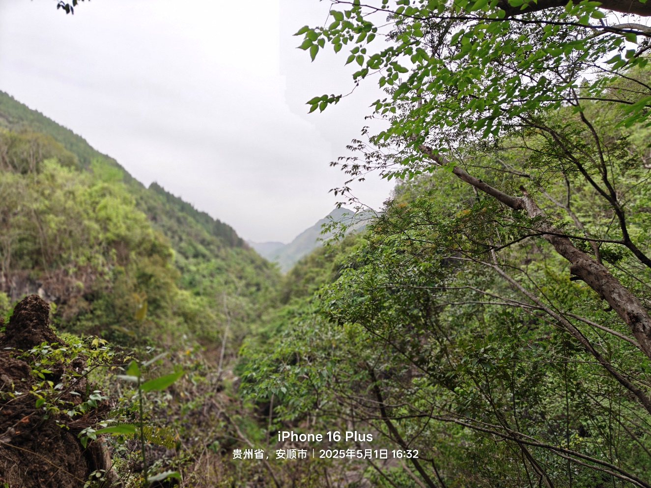 天地轰鸣的壮美诗篇：安顺市镇宁县黄果树瀑布的传奇与新生