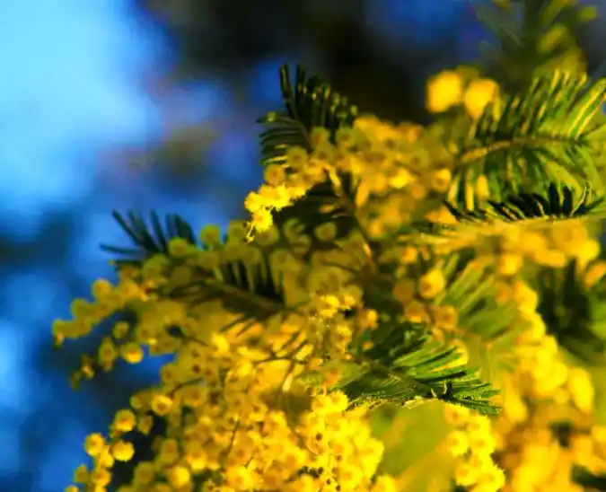 春融公园：在昆明的山水诗篇里，遇见时光的温柔