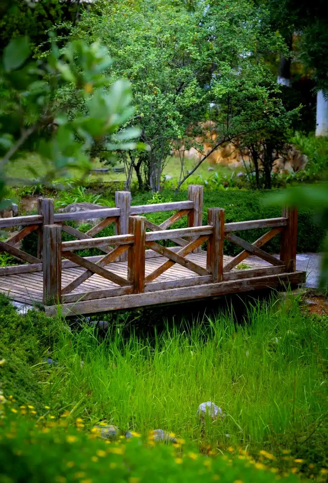 春融公园：探寻历史与自然交织的城市绿洲