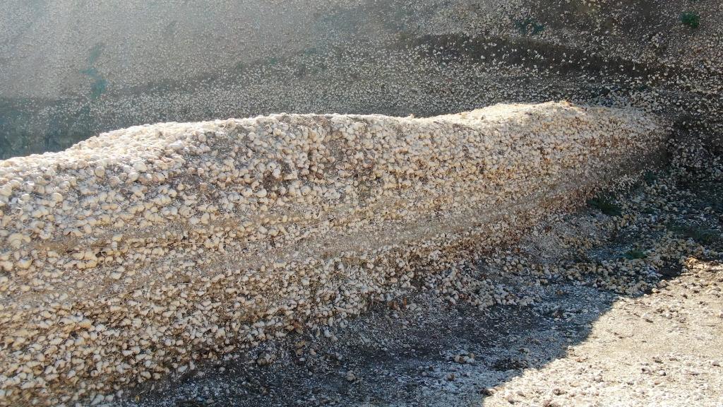 滇池之滨的史前文明：昆明晋宁古城村遗址的前世今生