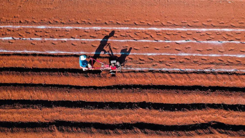 昆明东川红土地：大地的斑斓诗篇