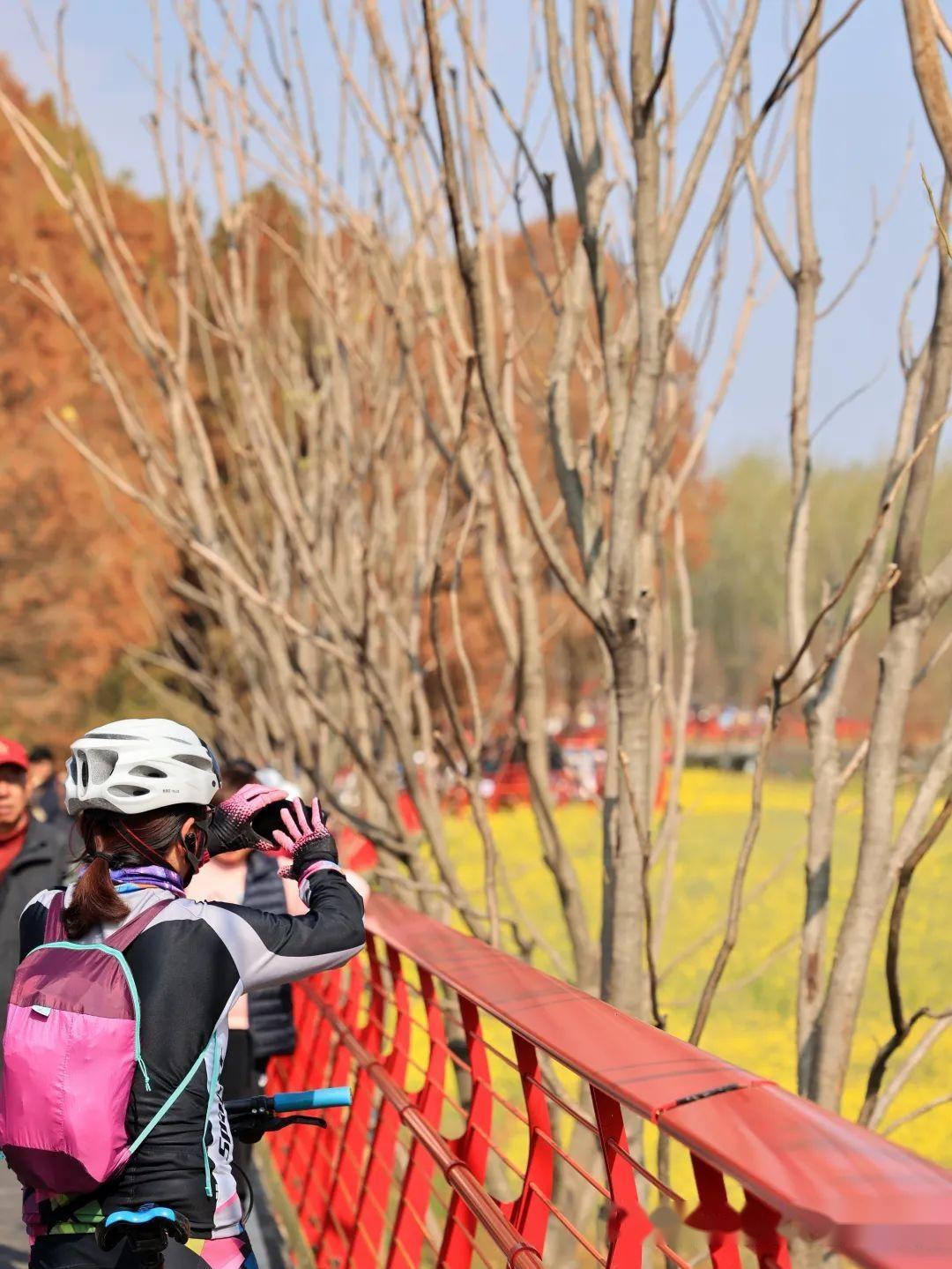 昆明江尾村：滇池畔的时光绮梦与生态新章